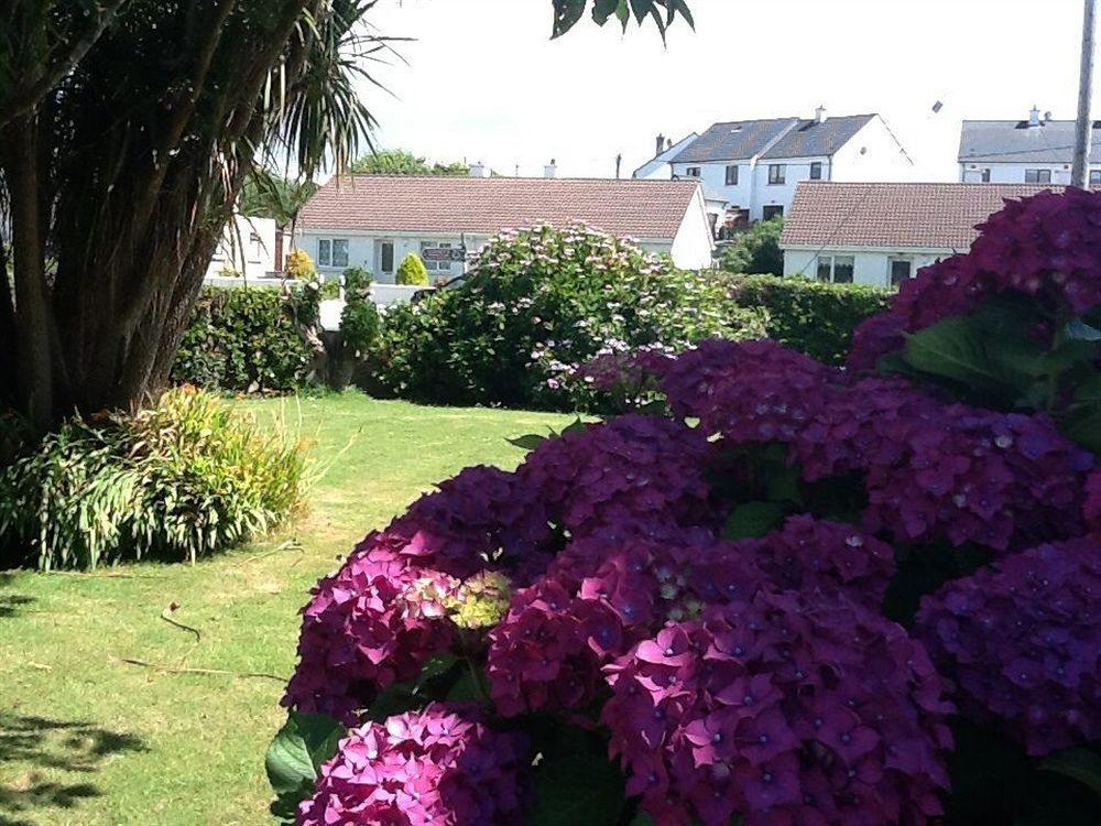 Hotel The Old Cable Historic House & Seafood Restaurant Waterville Exteriér fotografie