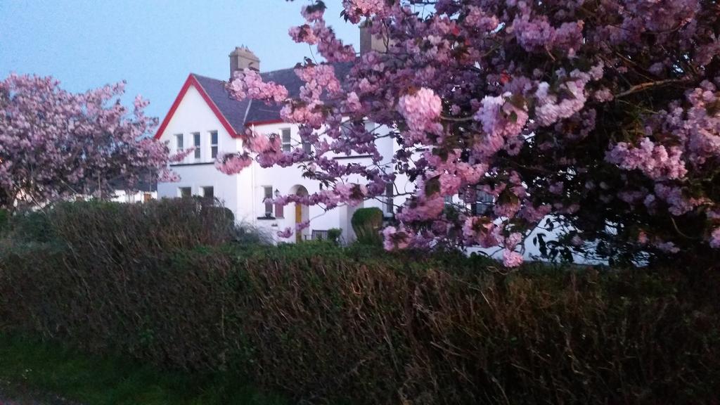 Hotel The Old Cable Historic House & Seafood Restaurant Waterville Exteriér fotografie